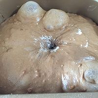 高纤乳酪软欧包的做法图解5