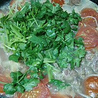 番茄牛肉汤的做法图解5