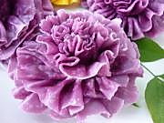 面塑类之紫薯康乃馨