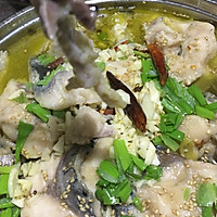 酸菜鱼的做法图解6