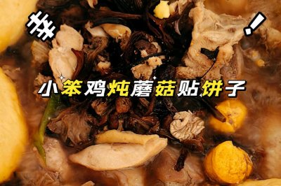 小笨鸡炖蘑菇贴饼子