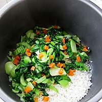 青菜焖饭的做法图解6