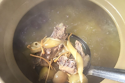 鱼胶虫草花鸡汤