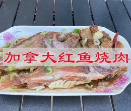 #夏日多巴胺饮品#加拿大红鱼烧肉的做法