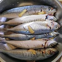 红烧巴浪鱼的做法图解1