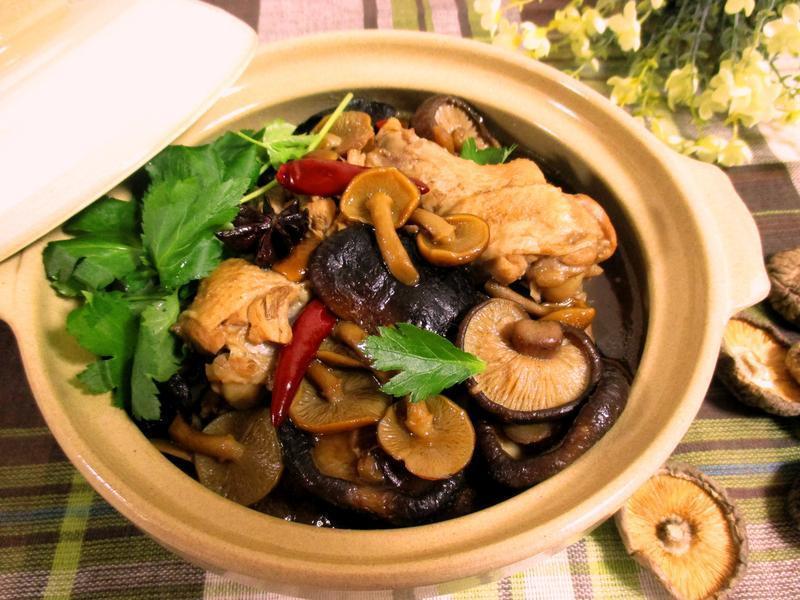 Stewed mushroom with chicken