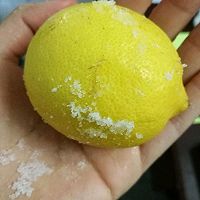 川贝柠檬膏的做法图解1