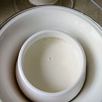#小熊酸奶机试用#麦片原味酸奶杯的做法图解8
