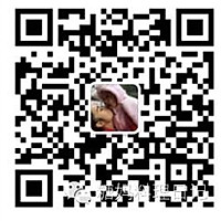 蛋白过敏宝宝的救星---奶酪三角饼的做法图解10