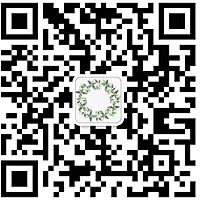 芝士焗西兰花的做法图解7