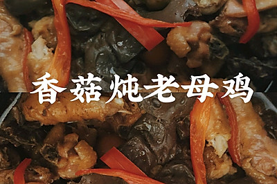 香菇炖老母鸡(珐琅锅)