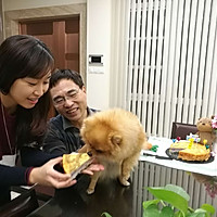 五层豪华宠物蛋糕狗狗美毛去泪痕的做法图解22