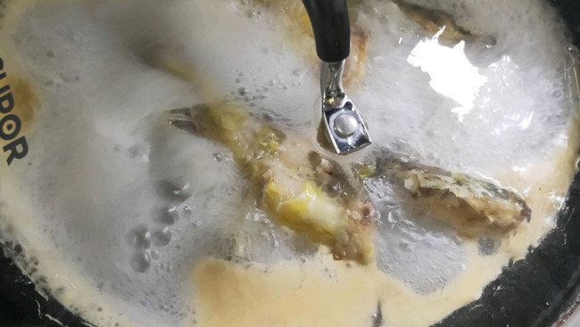 哥牙鱼汤的做法