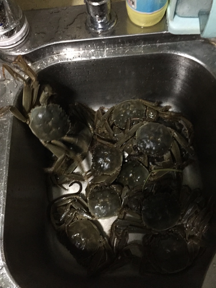 蟹粉狮子头的做法图解1
