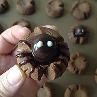 蜘蛛可可饼干的做法图解12