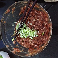 牛肉洋葱烤饼的做法图解5