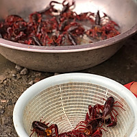 吮指小龙虾的做法图解1