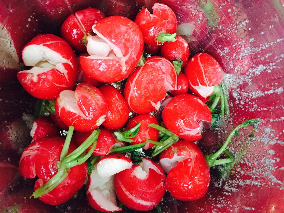 樱桃萝卜怎么吃 5种做好吃的做法，见到美味又馋人，看看你喜欢吃哪种？ | 说明书网