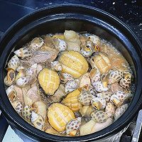 美味鲍鱼花螺鸡煲的做法图解8