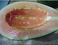 青木瓜排骨汤的做法图解2