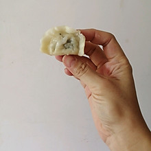 荠菜蛤蜊（gala）水饺