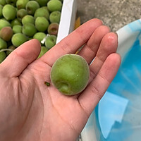 青梅酒的做法图解2