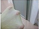 亚麻籽吐司的做法图解3
