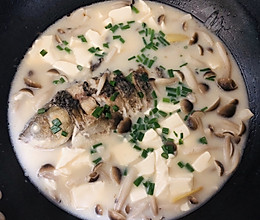 奶白奶白的鲫鱼菌菇豆腐汤的做法