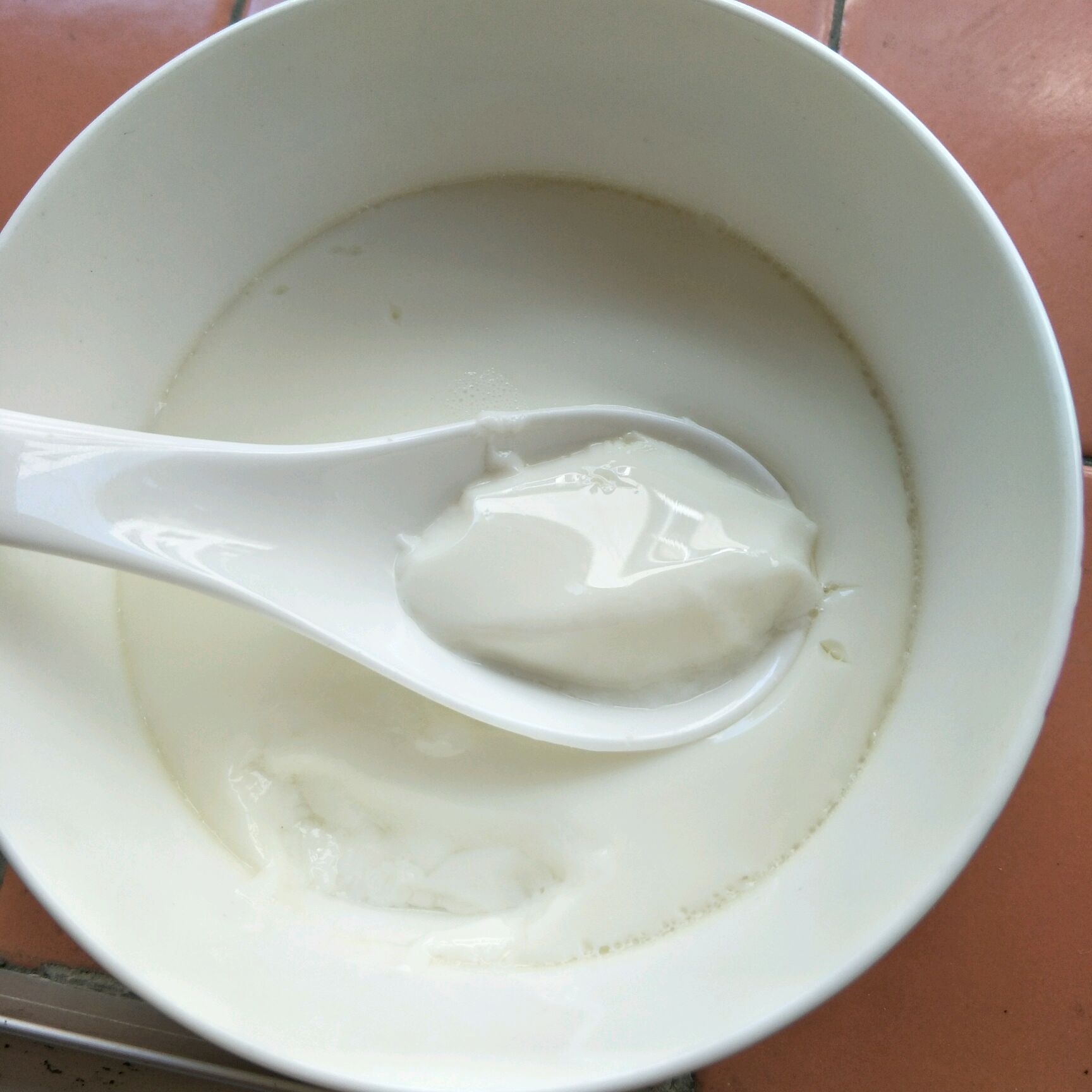 用牛奶自制双皮奶，记住这个比例做法，细腻顺滑好吃、零失败 - 哔哩哔哩