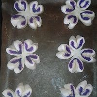 紫薯四叶草面包#东菱魔法云面包机#的做法图解10