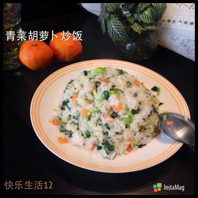 让宝贝爱上蔬菜～青菜胡萝卜虾皮炒饭的做法