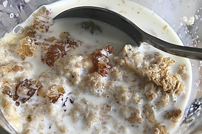 水果 麦片 牛奶 桃胶（早餐）