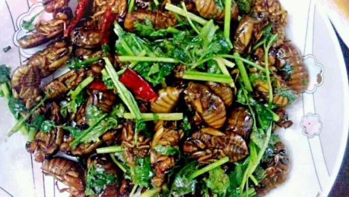 香辣金蝉（介了龟）