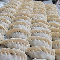 冬至饺子走起（香菜肉馅柳叶饺和鸡蛋韭菜虾仁饺）的做法图解23