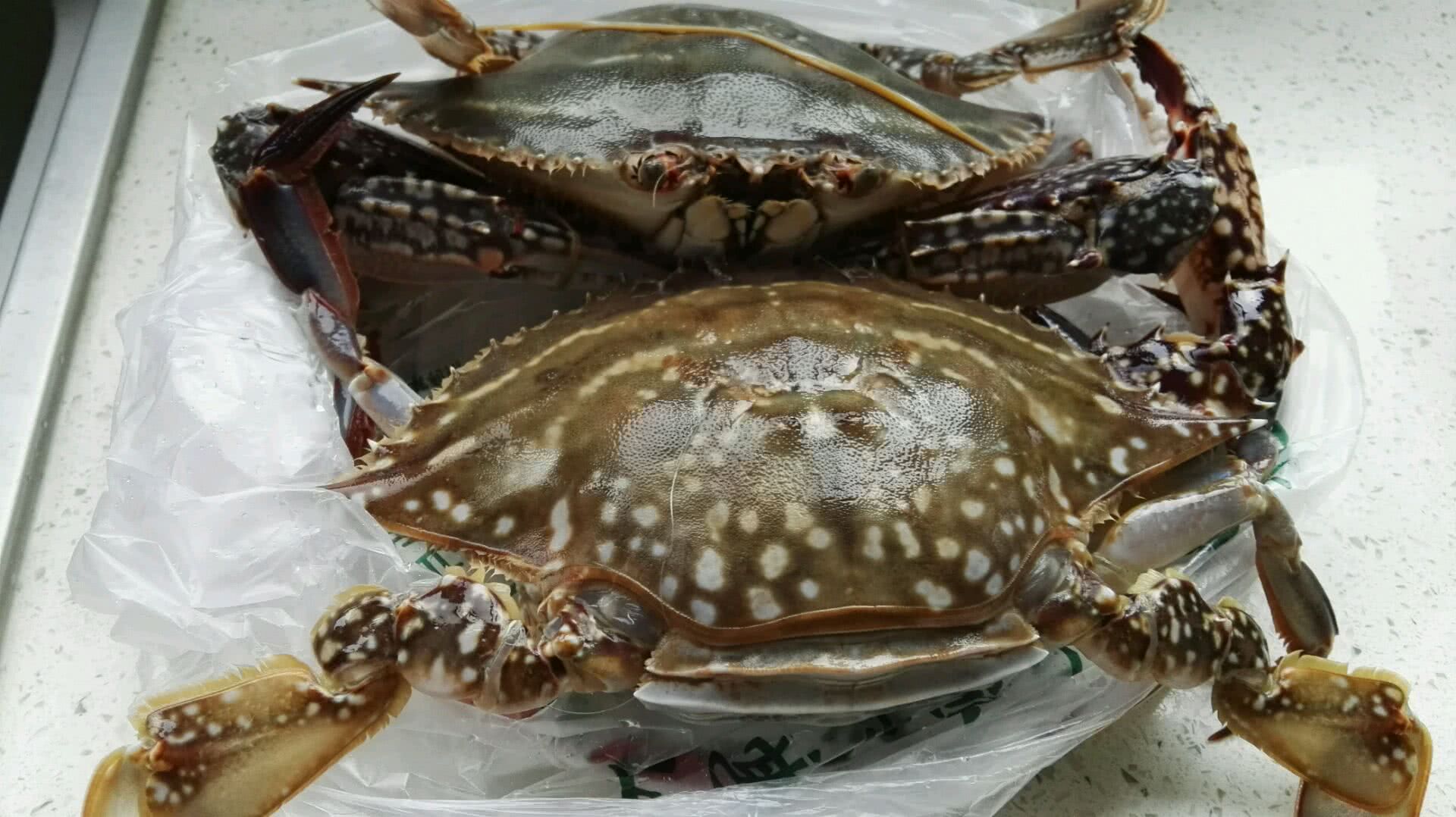 当地石夹红蟹子170一斤，青岛喜欢“啃”的人真多，肉厚实味道鲜-今日头条