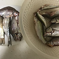 老北京酥鲫鱼——谁吃谁知道的做法图解1