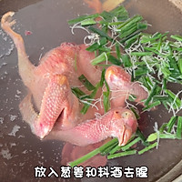 鸽子汤的做法图解1