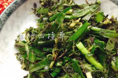 素炒四棱草（云南野菜）