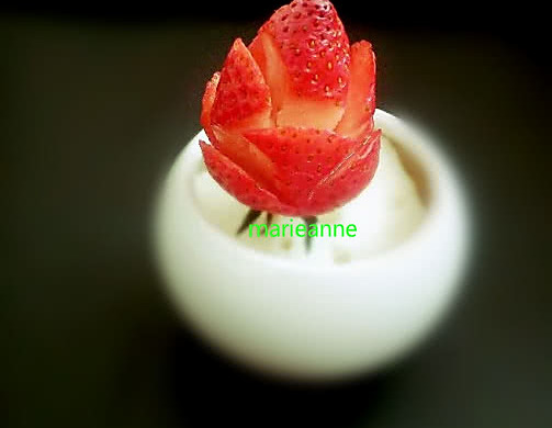 草莓玫瑰花