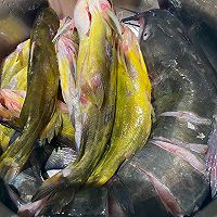 #万物生长 营养尝鲜#贵州红酸汤鱼的做法图解1