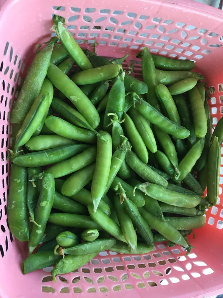 卤煮豌豆的做法