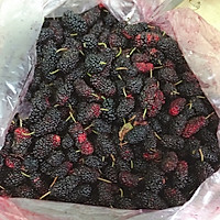 新鲜桑葚酒的做法图解1