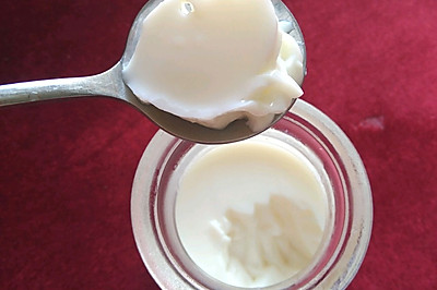 原味牛奶布丁