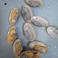 花甲蒸金针菇的做法图解6
