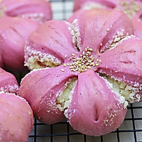 火龙果椰蓉樱花面包的做法图解11