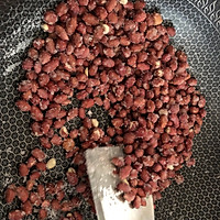 #一人一道拿手菜#一次成功的小零食糖霜花生的做法图解7