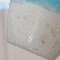#LG御见美好食光#蒜香皇冠布里欧修吐司的做法图解1