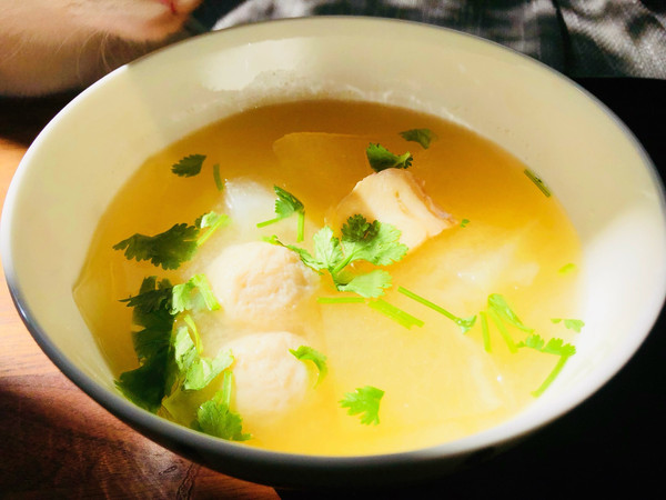 冬瓜鱼丸汤—可召唤出主子的那种