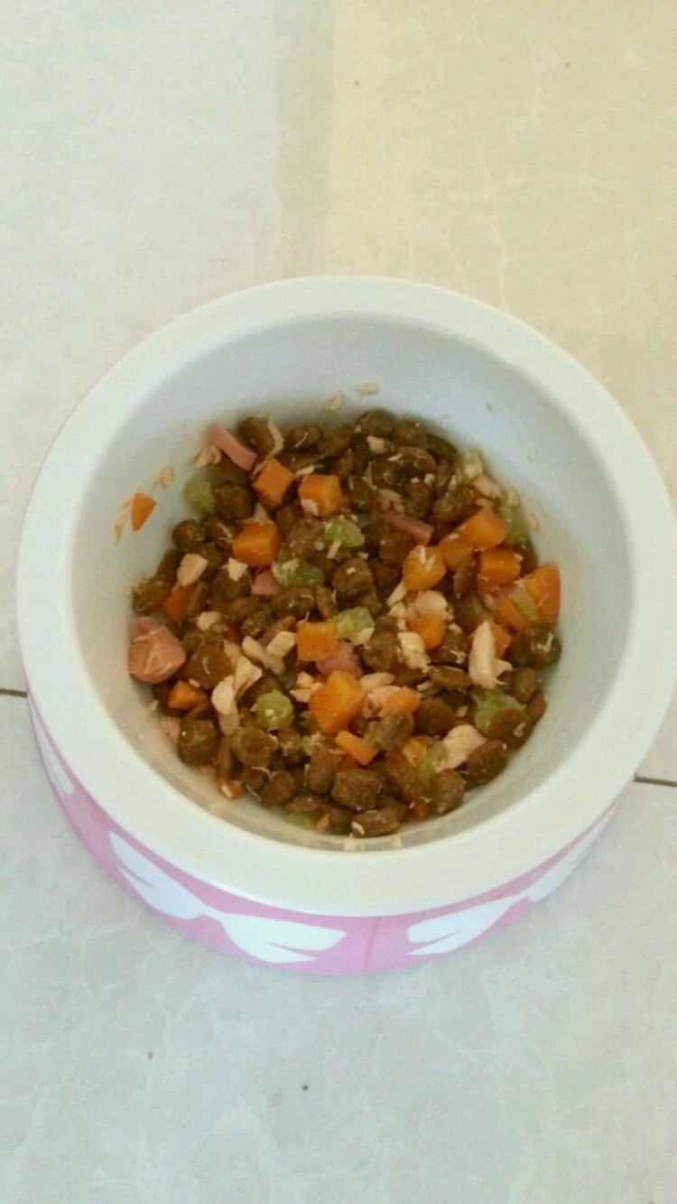 狗狗食品DIY~蔬菜鱼类狗粮饭的做法
