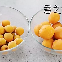 杏儿季节即将来临,手工的杏干试一下?可不一样了的做法图解1